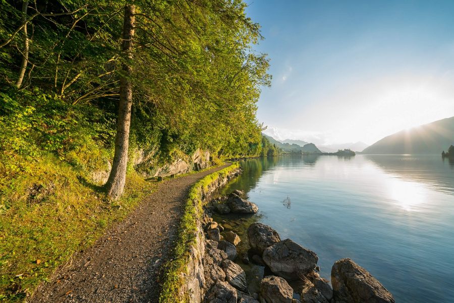 Goldene Herbststimmung entlang des Brienzersees. Der Wanderweg führt romantisch verschlungen durch die malerische Natur..